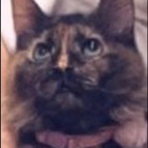 Meet your Posher, Nina